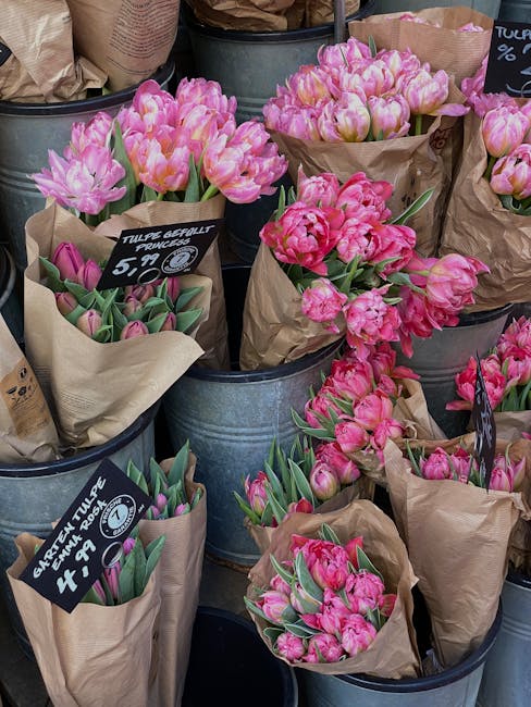 Close-up of multiple bouquets of fresh pink tulips displayed in metal buckets at Westminster Flowers, each wrapped in brown paper and topped with black chalkboard-style price tags. The tulips vary in 