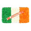 IRISH FLAG TRIBUTE